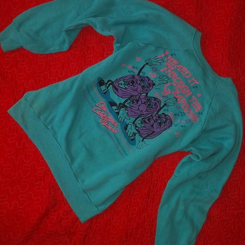 California Raisins 'Heard It Through The Grapevine' Sweatshirt in Teal/Turquoise